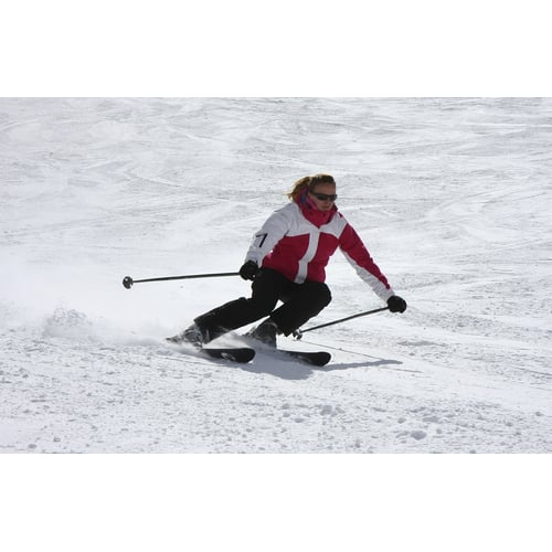 Ski professional