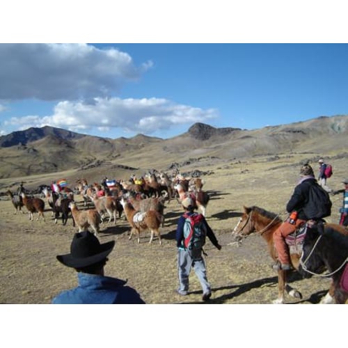 peru 2009