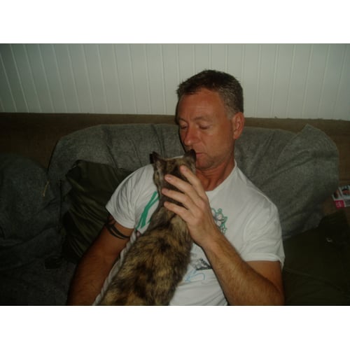 bruce