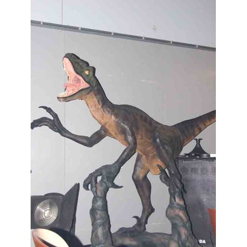 raptor