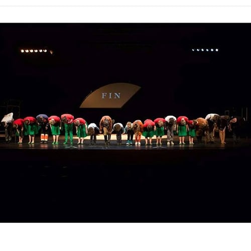 Musical de kleine prins
