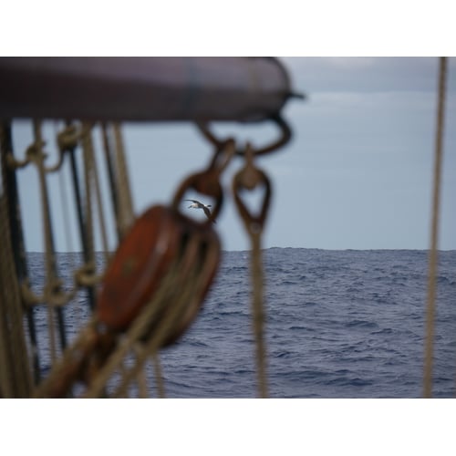 40 dagen op zee, zeilend en filmend