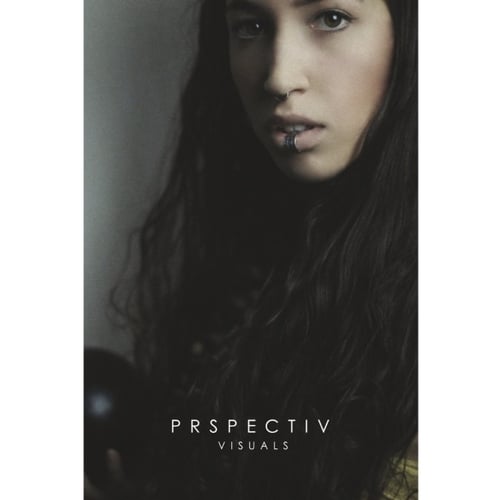 Model Prespective