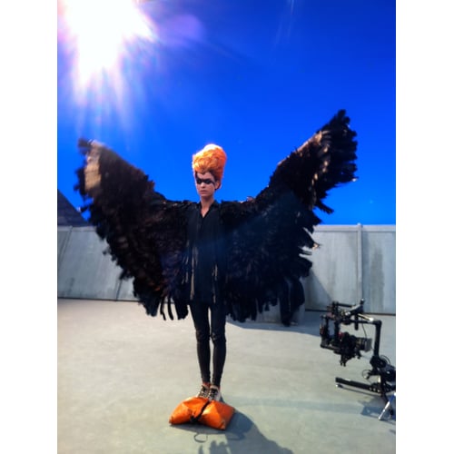 Firebird