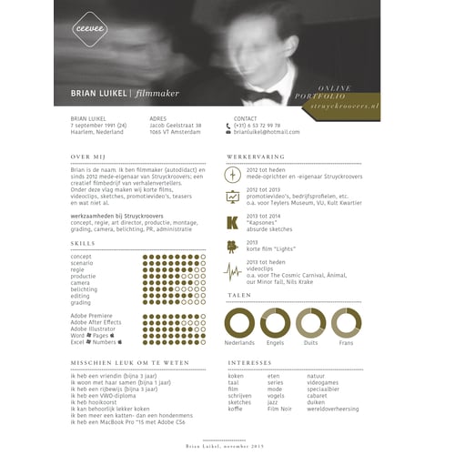 CV - Brian Luikel