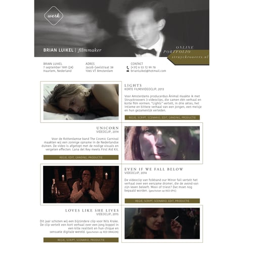 Portfolio - Brian Luikel