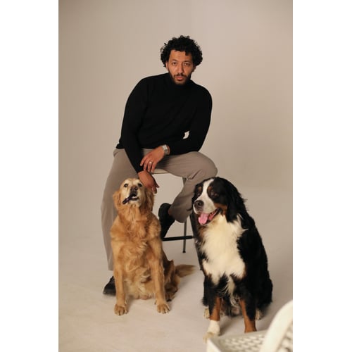 Dogs