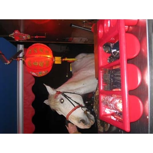 Waar is het paard van Sinterklaas ?
