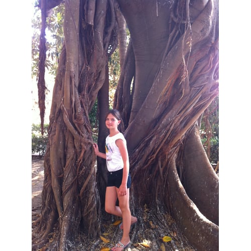 the tree and me