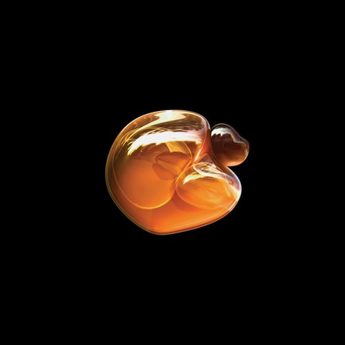 Embryonic