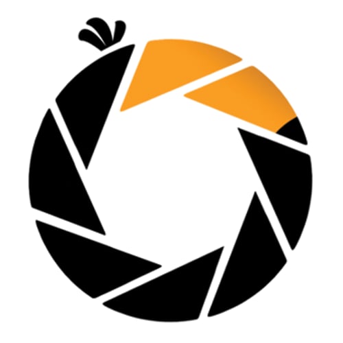 VideoBird