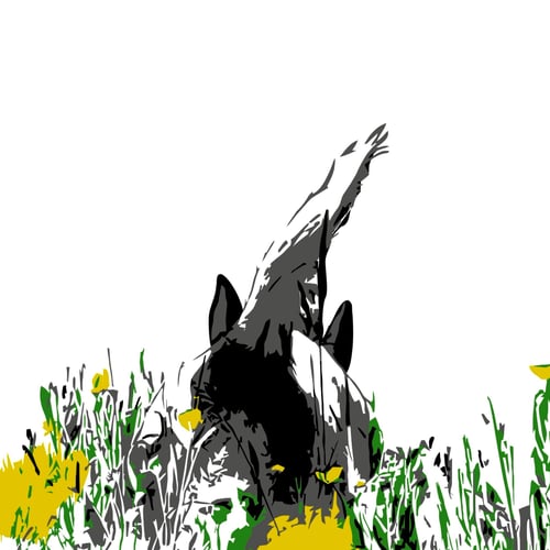Hond Van Pavlov