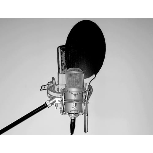 Voice-Over Dick Smit