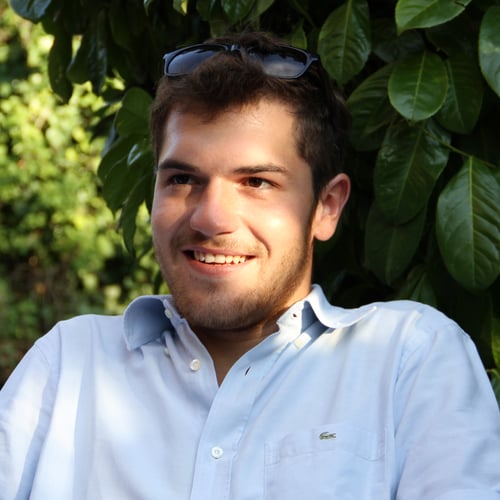 Andrea Raffaelli