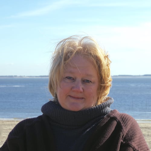 Bo van Scheyen