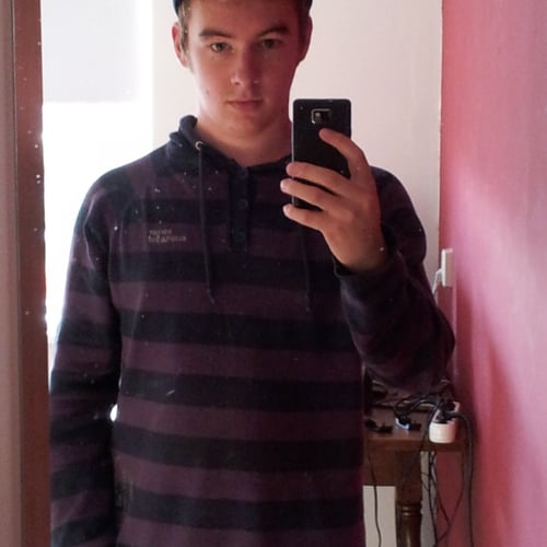 Sander