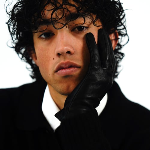 Hardwin van Dijk