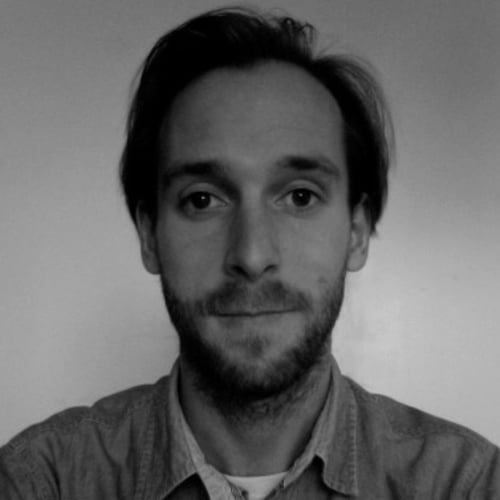 Nico van Pelt