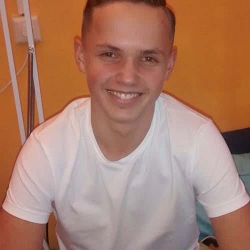 Sander