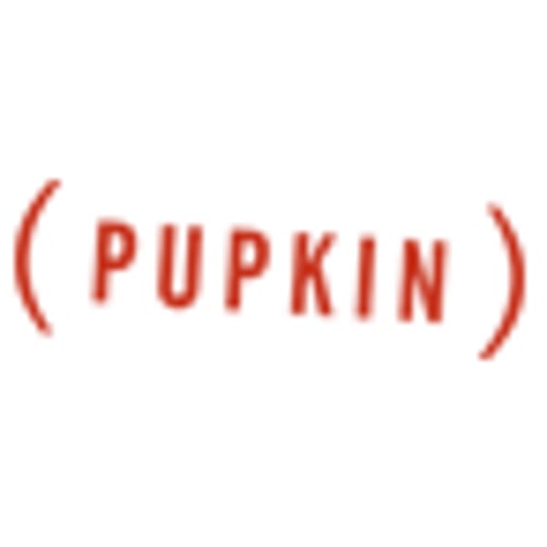 Pupkin Film Bv