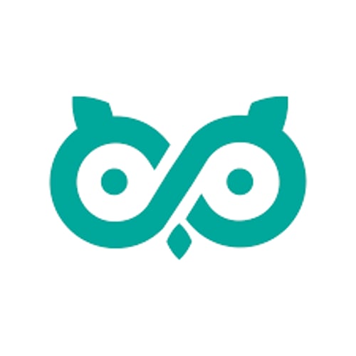 Vr Owl