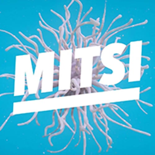 Mitsi