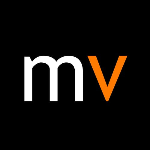 Mediavisie