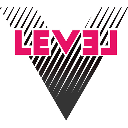 Level V