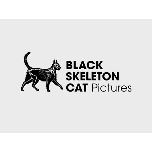 Black Skeleton Cat Pictures