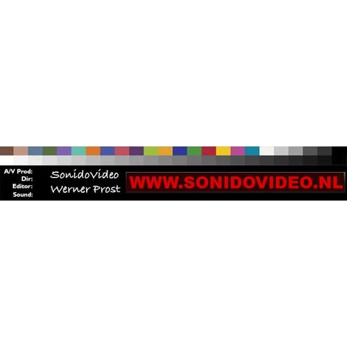 Sonidovideo