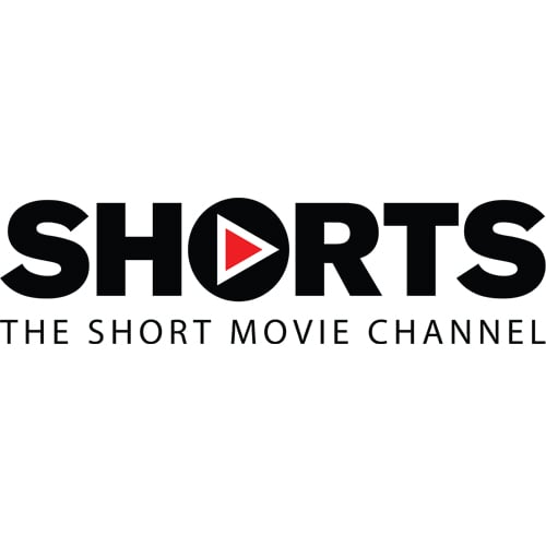 Shorts International Ltd
