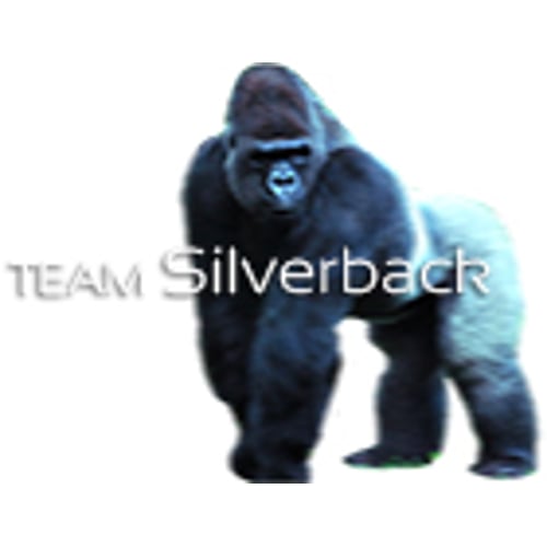 Team Silverback