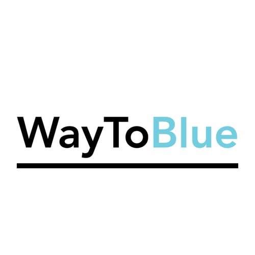 Way To Blue Benelux BV