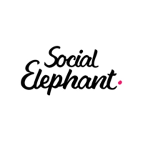 Social Elephant