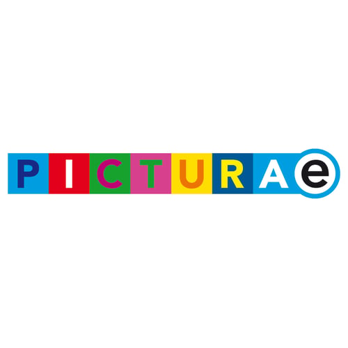 Picturae B.V.