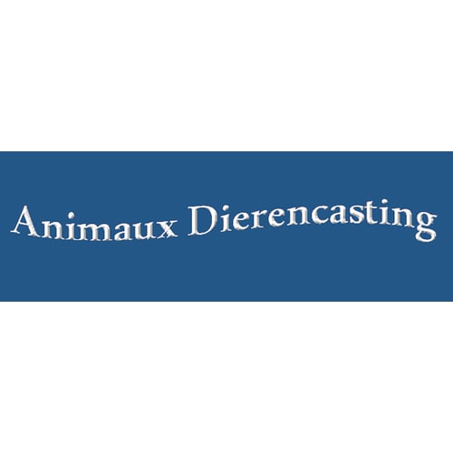 Animaux Dierencasting