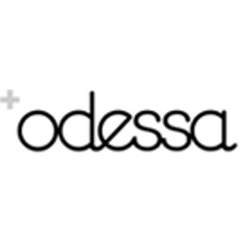 Odessa Film