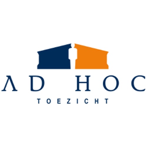 Ad Hoc Toezicht