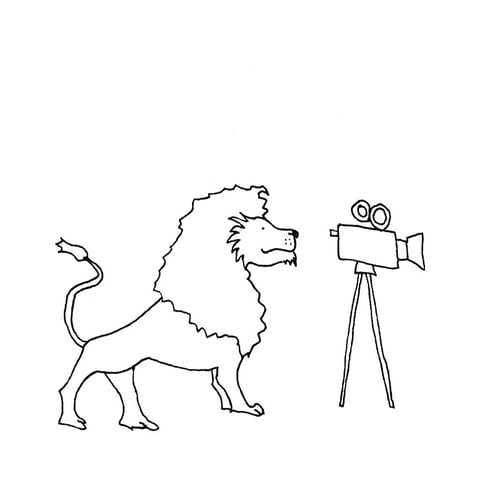 MediaLeeuwen