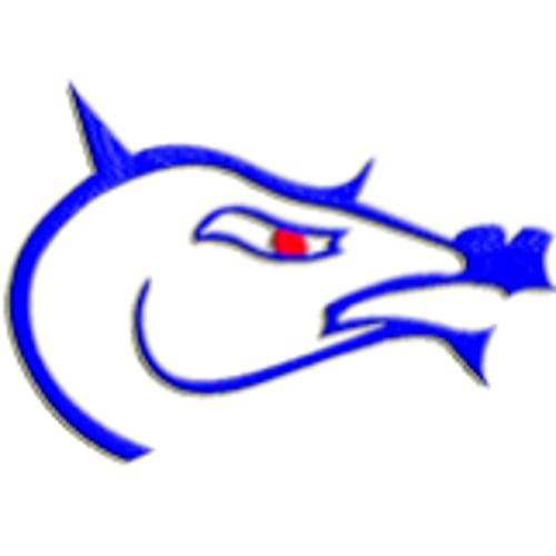 Blue Dragon Studio