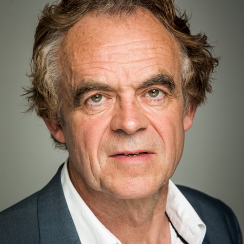 Rein de Vries