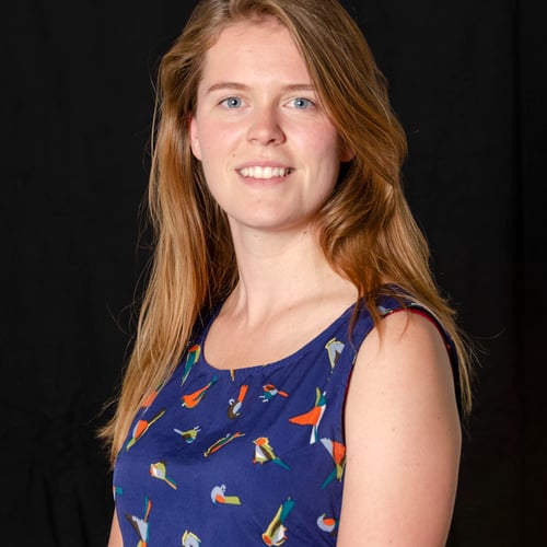 Linde Erinkveld
