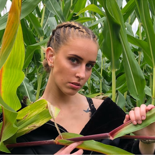 Nikita