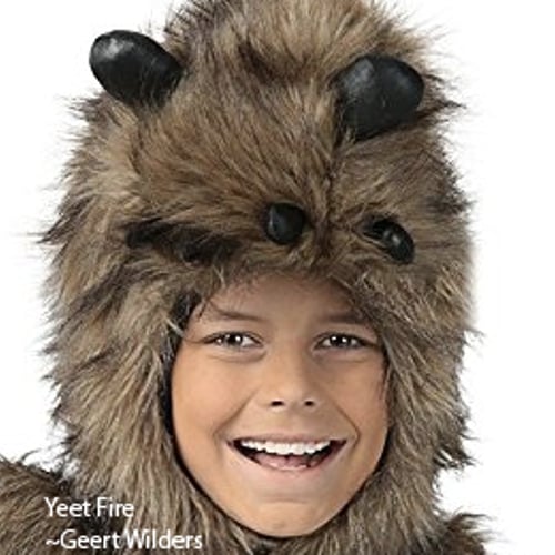 Gijs