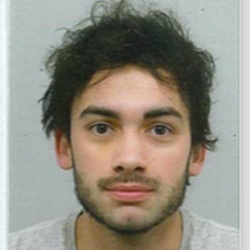 Milan Lueks