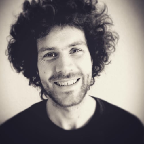 Joris van Gulik