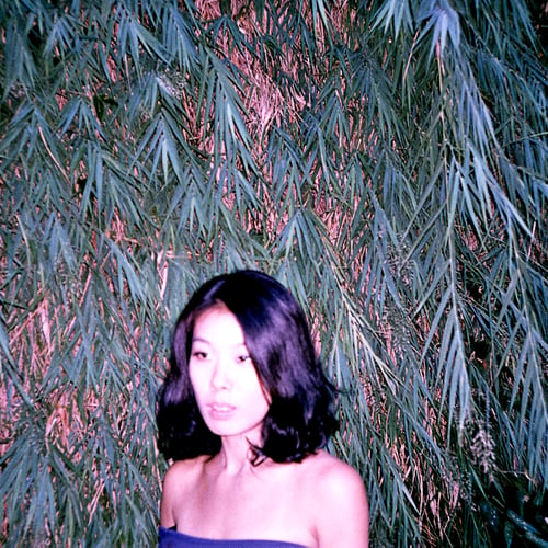 Shih Hui Hung