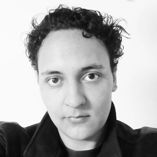Martijn Hamerling