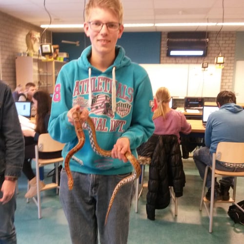 Jeffrey
