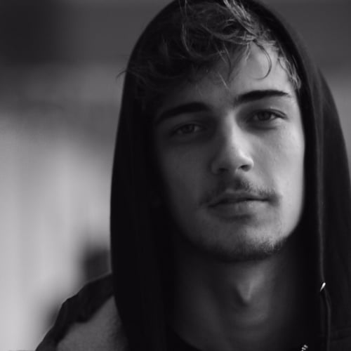 Siebe de Vries